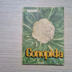 CONOPIDA - M. Voinea - Editura Agro-Silvica, 1967, 136 p.; tiraj: 4000 ex.