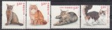 China 2013 - PISICI DOMESTICE - MNH