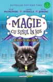 Magie cu susul in jos. Bucluc &amp; balamuc - Editura Corint