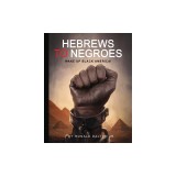 Hebrews to Negroes: Wake Up Black America!