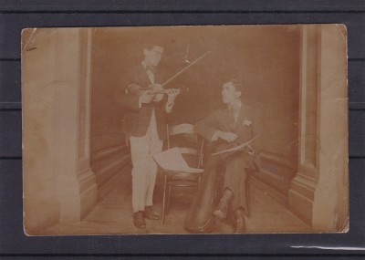 MUZICANT VIOARA foto