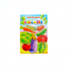 Carte de colorat educativa: legume, B5 16 pagini Eurobookids foto