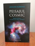 Leonard Susskind, Peisajul cosmic. Teoria corzilor și iluzia unui plan inteligent