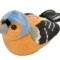 Pasare cu sunet Cinteza - CHAFFINCH