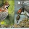 Bulgaria 2019 - Europa Cept - Păsări protejate, carnete MNH