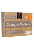 Cumpara ieftin Lectii Montessori - Zoologie &bull; Vertebrate