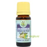 Ulei Esential Tea Tree (Arbore de Ceai) 10ml