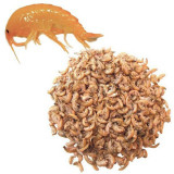 Gammarus Uscat 40g / 250ml