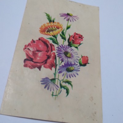 CARTE POSTALA FELICITARE PASTI CIRCULATA foto