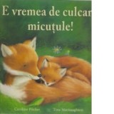 Interviul Motivational. Abordarea empatica prin care putem ajuta oamenii sa se schimbe si sa creasca prin regasirea motivatiei si consolidarea angajam