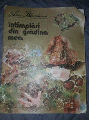 Carte veche cu ilustratii 1985,INTAMPLARI DIN GRADINA MEA,Ana Blandiana,colectie foto