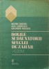 Bolile și Dăunătorii Sfeclei de Zahar - Album, Ciochia, Codrescu, Rizescu, Ceres 1984, Agronomie, Carte Tehnică