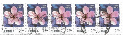 Romania (14) - Flori, 2020 - 2,20 L, bloc de 5, obliterate foto