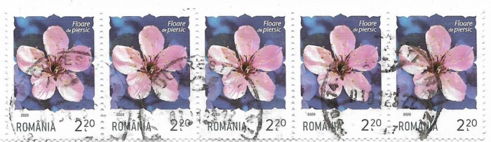 Romania (14) - Flori, 2020 - 2,20 L, bloc de 5, obliterate