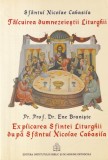 Cumpara ieftin Sfantul Nicolae Cabasila, Pr. Prof. Dr. Ene Braniste - Talcuirea dumnezeiestii