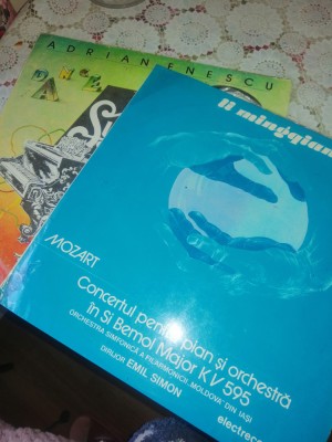 Discuri vinyl foto