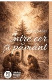 Carte Intre cer si pamant - Paul Cismigiu, Ilustratii Mihail Alen Decebal, Beletristica