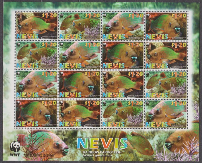 DB1 WWF Nevis Pesti MS 4 serii MNH