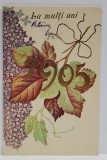 CARTE POSTALA FELICITARE DE ANUL NOU , CU FLORI DE LILIAC SI FRUNZE DE VITA - DE - VIE , CROMOLITOGRAFIE , EMBOSATA , 1905