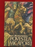 Ion Bodunescu, &quot;Povestea Micaporei&quot; - 1979