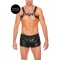 Bulldog Leather Chest Harness &ndash; S/M
