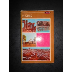 ARISTIDE BUHOIU - TUNISIA