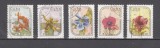 M2 TS1 1 - Timbre foarte vechi - Cuba - flori exotice, Flora, Stampilat