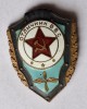Aviatie militara, insigna Rusia sovietica anii 1970, alama cu email la cald RARA