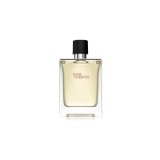 Herm&egrave;s, Terre d&#039;Herm&egrave;s, Apă de toaletă, Bărbați, 100 ml
