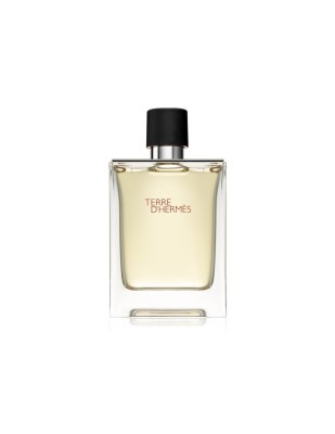 Herm&amp;egrave;s, Terre d&amp;#039;Herm&amp;egrave;s, Apă de toaletă, Bărbați, 100 ml foto