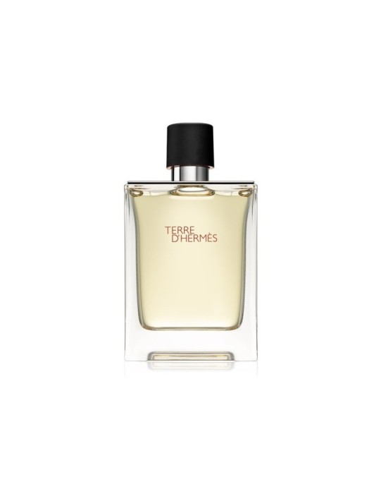 Herm&egrave;s, Terre d&#039;Herm&egrave;s, Apă de toaletă, Bărbați, 100 ml