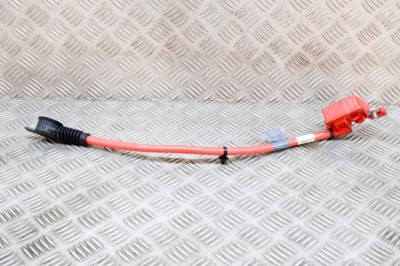 Cablu baterie pozitiv BMW 5 F10 2012 OEM: 9217034,9217036,9203570 20284497 foto