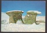CPIB 24491 CARTE POSTAL - MUNTII BUCEGI. BABELE, NECIRCULATA, 1977