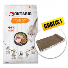 Ontario Cat Short Hair rață și pui 6,5 kg + scratcher GRATUIT