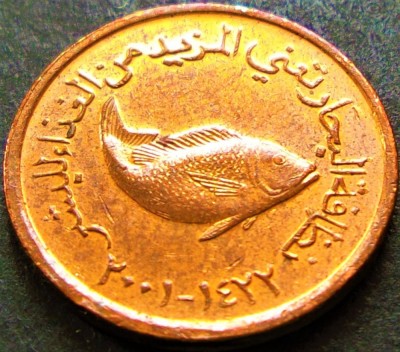 Moneda exotica 5 FILS FAO - EMIRATELE ARABE UNITE, anul 2001 *cod 1368 = ZAYED foto