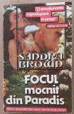 (C524) SANDRA BROWN - FOCUL MOCNIT DIN PARADIS