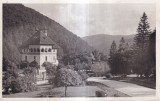 Sinaia. Vedere din parc (circulata 1939)