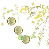 Tablete pentru Curatare Baie Zero Waste 3buc