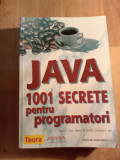 Cumpara ieftin Java 1001 secrete pentru programatori