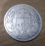 AUT AustroUngaria argint Ungaria 1 korona 1895, Europa