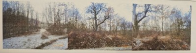 Vand teren extravilan Padure foto