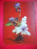 HOPCT 25099 FLORI -FELICITARE ANIVERSARA -CP VECHE -IP--INTREG POSTAL - ROMANIA - CIRCULATA