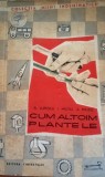 Cum altoim plantele Fl. Lupescu