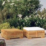 Cumpara ieftin Set mobilier de grădină, 2 piese, lemn masiv de tec