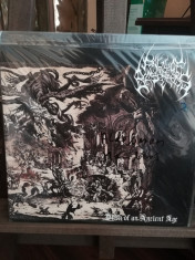 Vinil black metal 12&amp;#039;&amp;#039;: Fall Of The Bastards ? Dusk Of An Ancient Age - 2008 foto