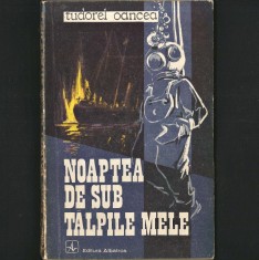 Noaptea sub Tălpile Mele, de Tudorel Oancea, Scafandri / Scanfandru... Aventură pe Dunăre