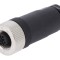 Conector Ethernet M12 PIN 4 Mama