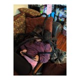 Decorațiuni Halloween Păianjen Gigant, 79"/ 6.6FT Păianjeni Spăim&acirc;ntători Mari, Negri, Păroși, Realistici, 2M Hu