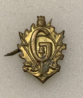 Insigna militară foto