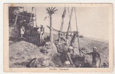 bnk cp Egipt - Fantani cu cumpana ( Chadoufs ) - necirculata